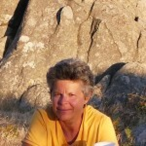 Florence Maraninchi