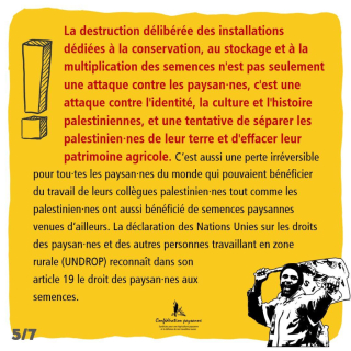 Voir la photo Destruction.semences-Palestine_Conf.paysanne-05.jpg