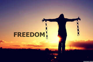 V01a-Freedom Human-1-HD Wallpaper.jpg