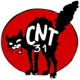 CNT 31