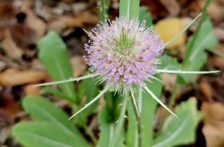 photo/09b367ae-45df-43f9-9754-c3483a27cdee-3