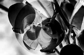 photo/0d7f3770-aa06-448c-9d64-a591be571285-3