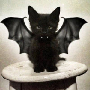 CroMignons 🍉 l'Herr Mit