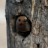 GailWaldby%40bsky.social%E2%9D%8C%F0%9F%91%91