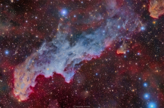 The Witch Head Nebula.jpg