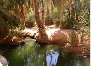 photo/131143e6-c271-451a-b686-0de09b8762fd-3