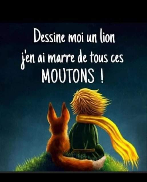 E01a-Dessine moi un Lion j en ai Marre de Tous ces Moutons-Dressez Vous Sans Relache-02.jpg E01a-Dessine moi un Lion j en ai Marre de Tous ces Moutons-Dressez Vous Sans Relache-02.jpg
