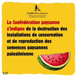 Voir la photo Destruction.semences-Palestine_Conf.paysanne-01.jpg