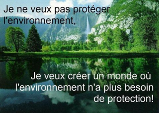 photo/1cb2cd9b-222f-4326-8c3e-6653a9fcb4ef-3