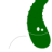 Courgette :blobcatpeek:​