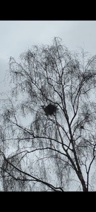 photo/2c9aaf4b-35f6-4a4f-b303-fb35f6587ef6-3