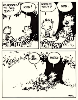 RienFaire_Calvin&Hobbes.jpeg