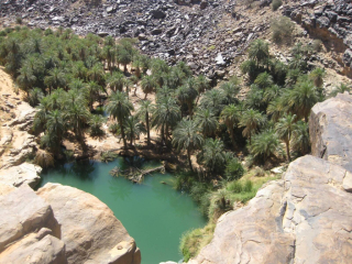 photo/34d67dc6-04c5-452a-b158-47e6ae77359c-3