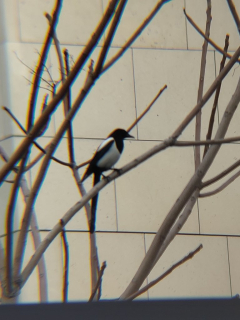 photo/4155b01f-7c5a-457a-a801-037039e0ed75-3