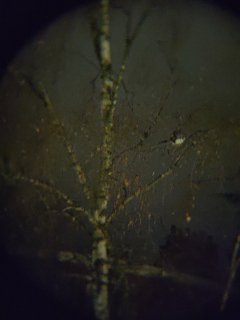 photo/445ade15-1a82-432c-9208-76b297704d0b-3