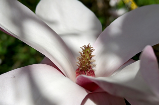 photo/564de8a1-c6c9-4faf-b0de-d70b82ffbd99-3