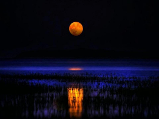 Lever de Lune sur Marais-02.jpg