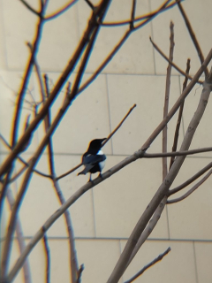 photo/6232e93f-3d3b-4337-b29b-0387dd261fcb-3