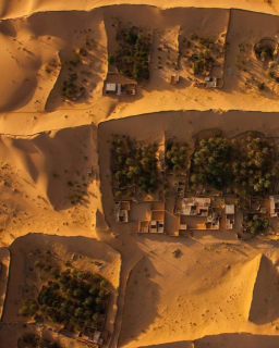 photo/6ea7feb8-d66f-473f-b21d-d583b607d597-3