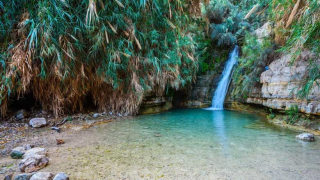 photo/7808e11f-e60b-4e36-a602-811fda9a31bd-3