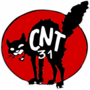 CNT 31