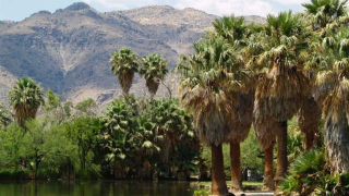 photo/8568dab7-f110-4f2b-ac6b-fdace77d629a-3