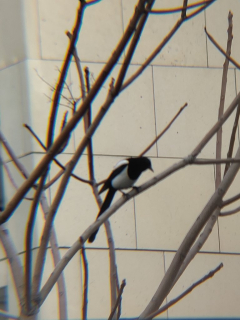 photo/8d4ba71c-6408-4ed3-9cb5-583c4cea4ee6-3