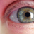 Outi+%F0%9F%A6%8A%F0%9F%8C%B1%F0%9F%8C%8D%F0%9F%8C%88