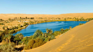 photo/a697b1f9-e634-4a30-aedc-fe05edc60d84-3