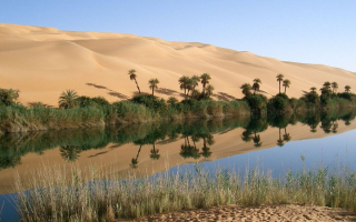 photo/a7386f6b-9a6f-4600-910f-4ce66252cd78-3