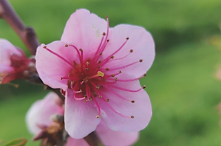 photo/ac5493ce-c7a3-4d67-8358-41b81b59d79c-3