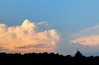 Paysages
