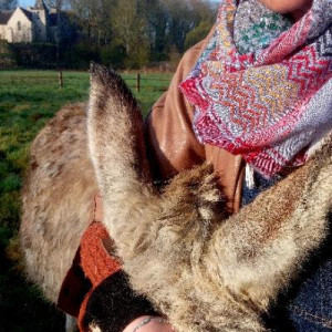 Solène de Montmarin