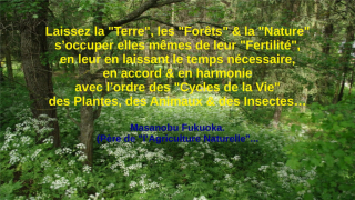 photo/bef34987-c7a1-40ce-8e59-e70fe9904db6-3