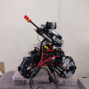 Very Human Robot