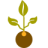 La graine