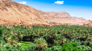 photo/d3ddfe68-8a5a-4da2-9d4c-06ec99fd4837-3