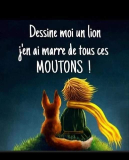 photo/d9c6b6d6-d7a5-4d73-af13-3db409adc075-3