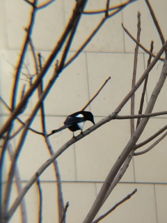 photo/e3bdf84c-a14b-45ef-9a1d-fe38eb4677ab-3