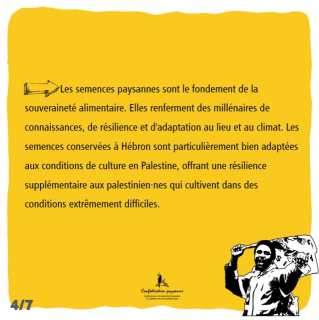 Voir la photo Destruction.semences-Palestine_Conf.paysanne-04.jpg