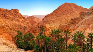 photo/edbef376-fb08-42a1-9955-cfe3f8e01068-3