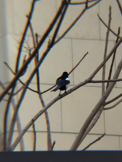 photo/ee6aeebb-e627-4611-8527-c5370be4e802-3